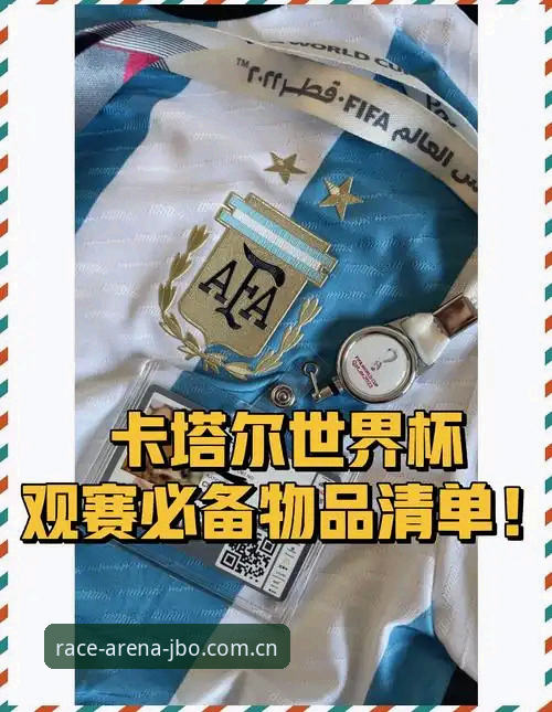 世界杯观赛实用指南：签证困境与赛事资讯获取必备知识